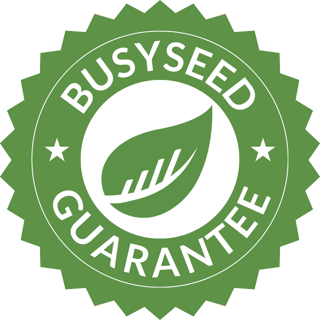 The BusySeed Guarantee seal