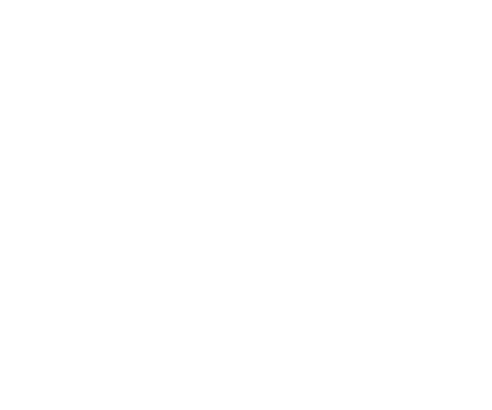 Miami Dolphins